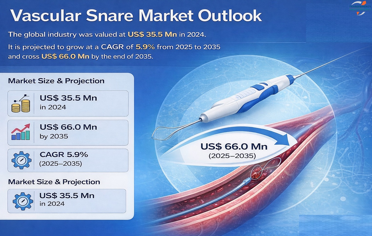 Vascular Snare Market