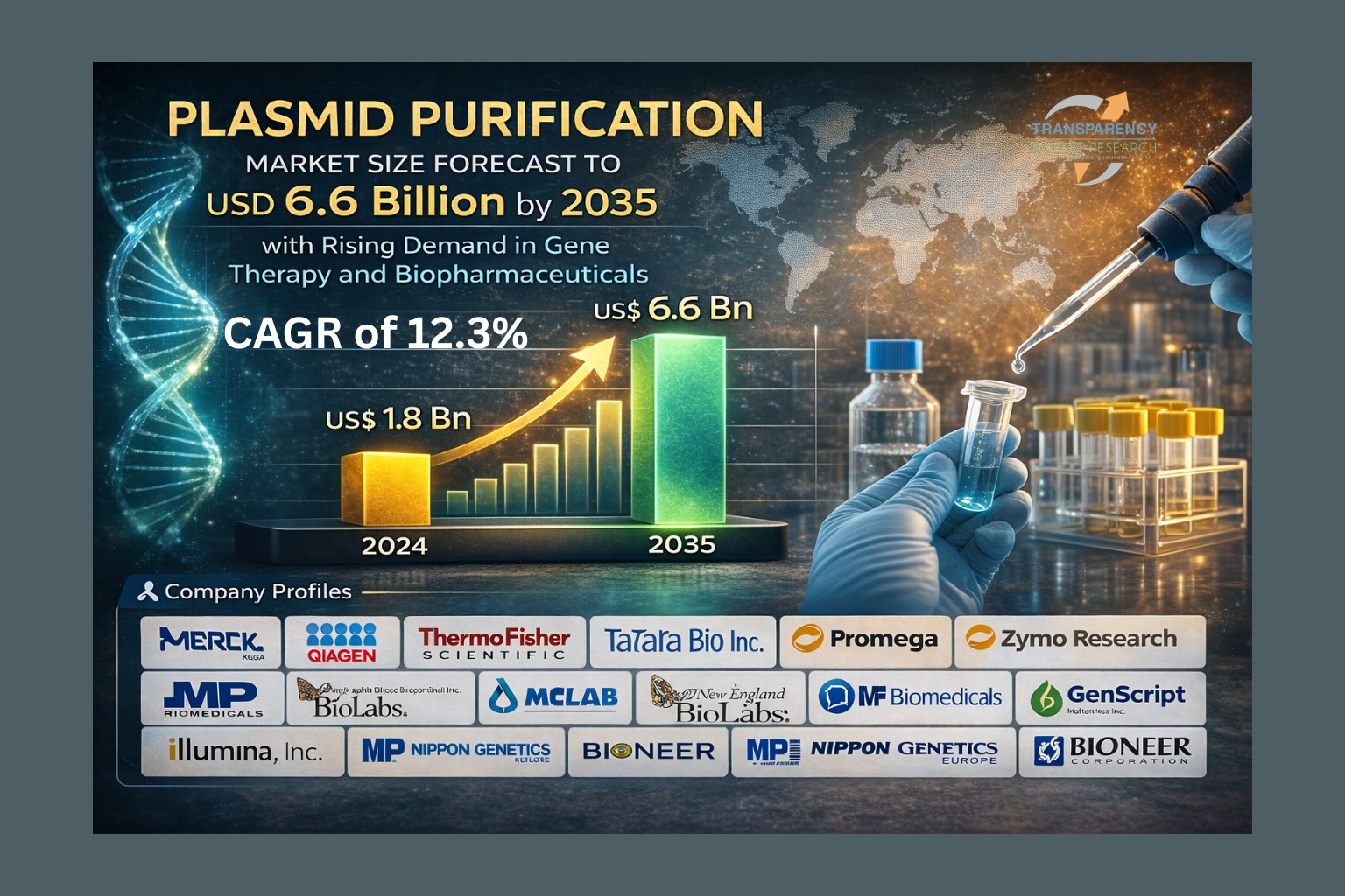 Plasmid Purification Market Size Forecast to USD 6.6 Billion by 2035 with Rising Demand in Gene Therapy and Biopharmaceuticals – Analysis by Transparency Market Research
