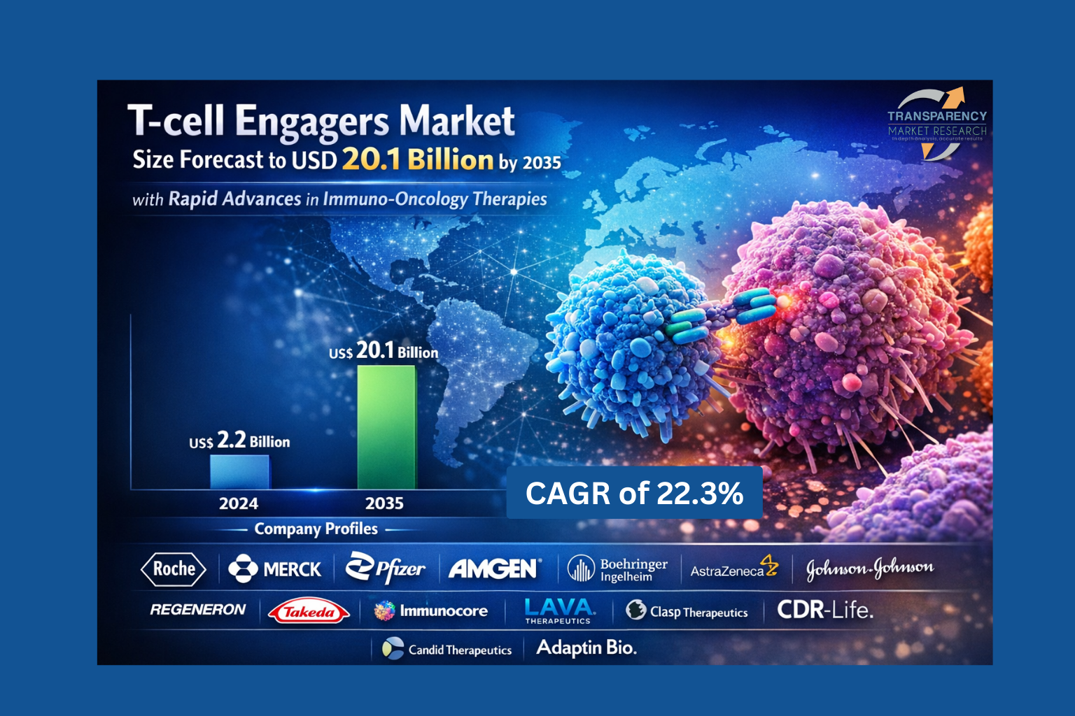 The global T-cell engagers market is projected to grow at a CAGR of 22.3% from 2025 to 2035 and cross US$ 20.1 Bn by the end of 2035
