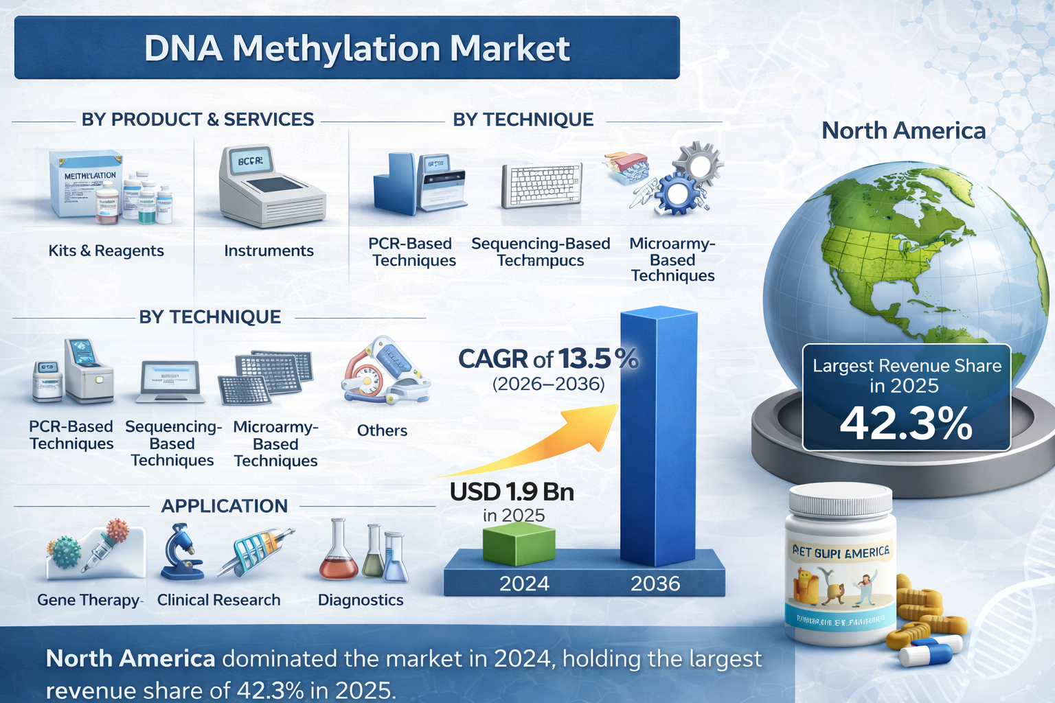 DNA Methylation Market