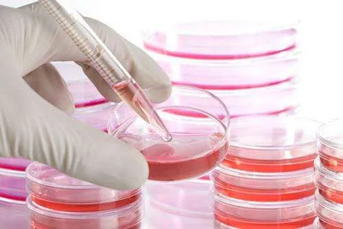 In Vitro Toxicology