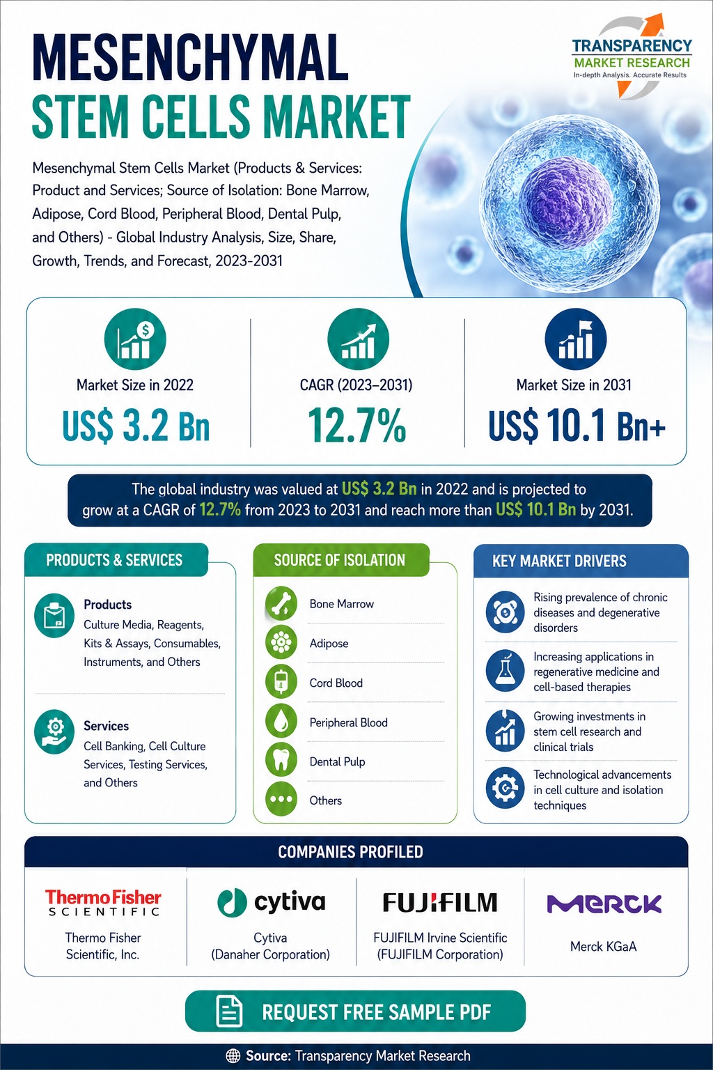 Mesenchymal Stem Cells Market