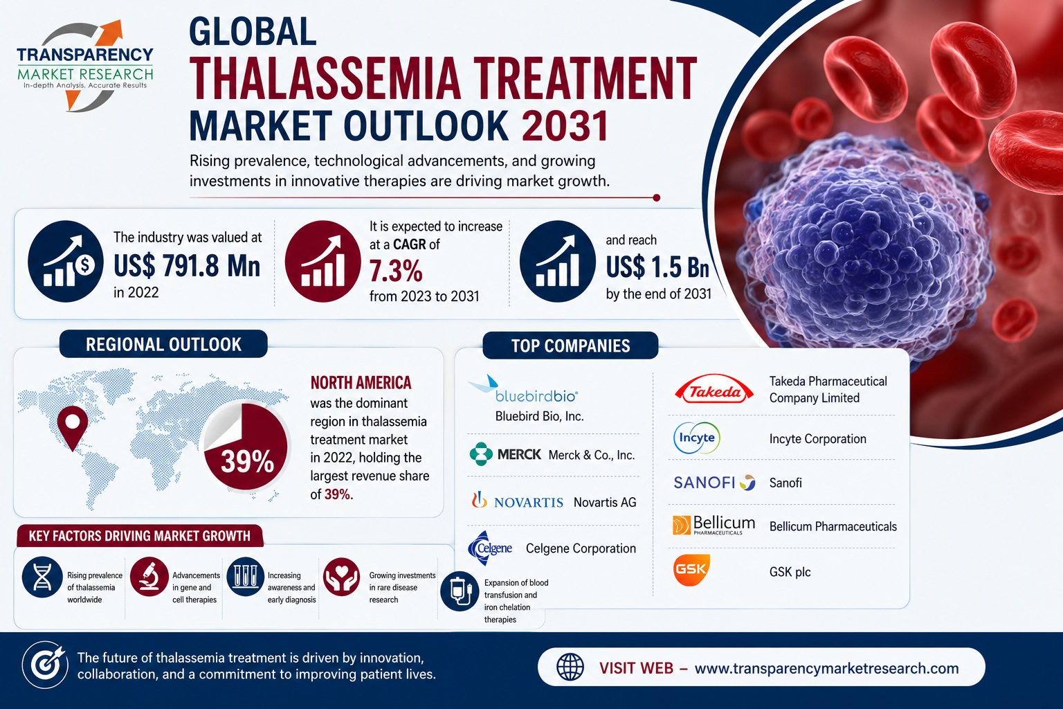 Thalassemia Treatment Market