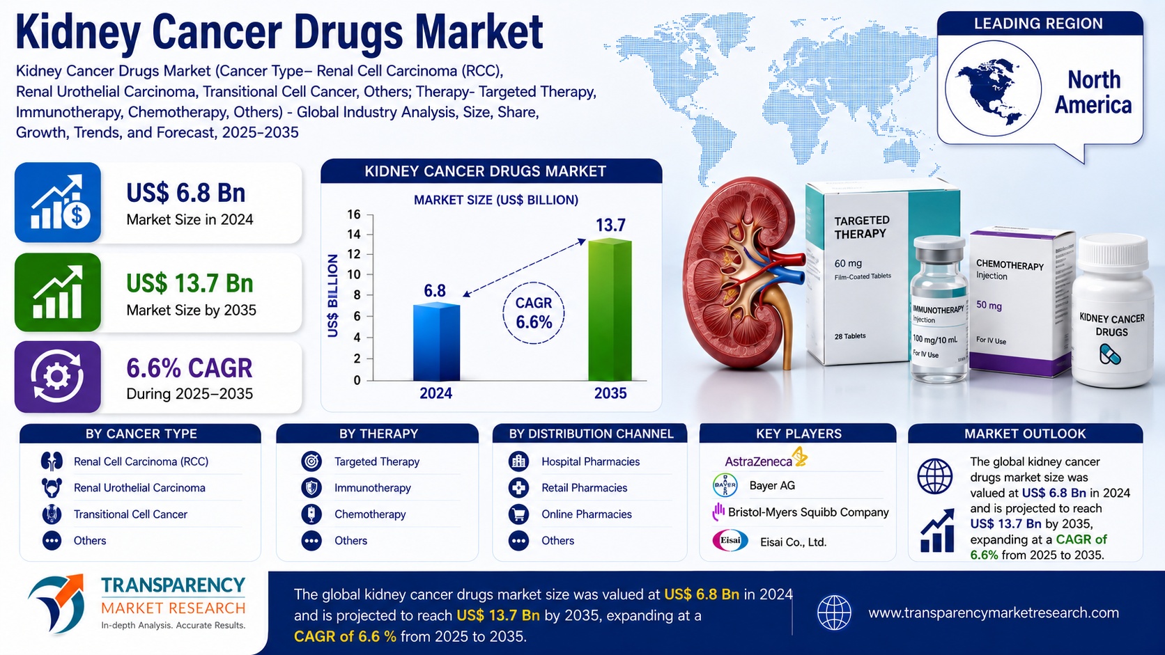 Kidney Cancer Drugs Market