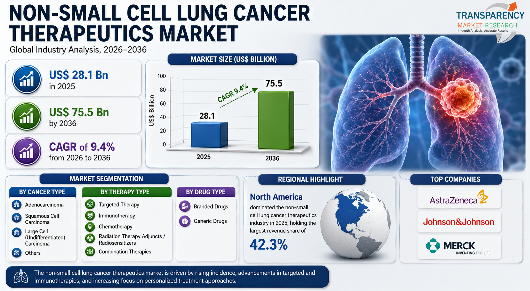 Non-Small Cell Lung Cancer Therapeutics Market